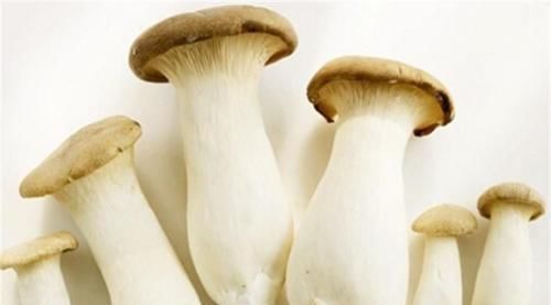 滋补|人到中年,常吃3种食物,延缓衰老,养护皮肤,营养又滋补