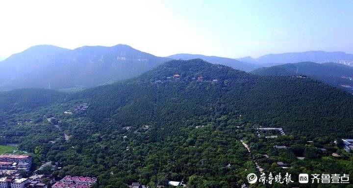 青翠欲滴|青翠欲滴，俯瞰济南大千佛山景区美景