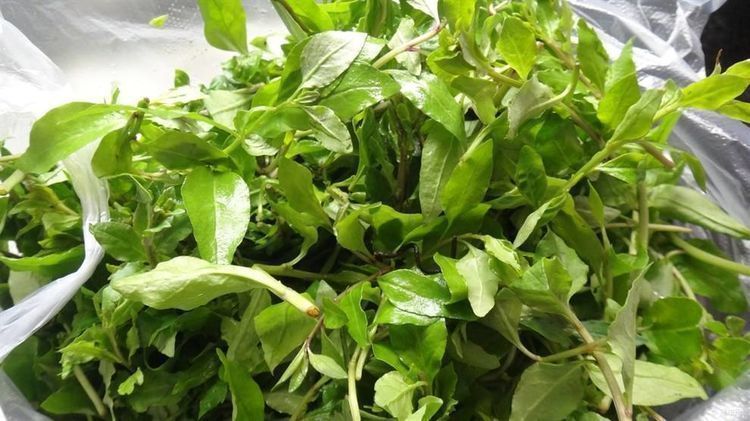 延缓衰老|聪明女性都在吃3种食物,美容养生、延缓衰老,身体棒棒哒!