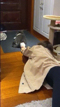 |搞笑GIF趣图你们人类都说生孩子难,养孩子难,为啥我就不觉得!