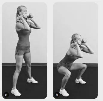 膝关节|你的身材比例达标了吗？自测一下腰臀比！