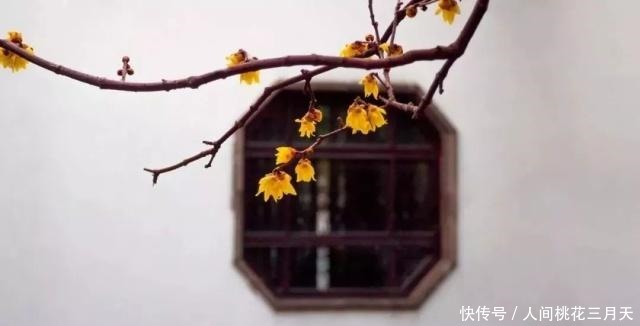 话不可随口,事不可随心,人不可随意(深度)