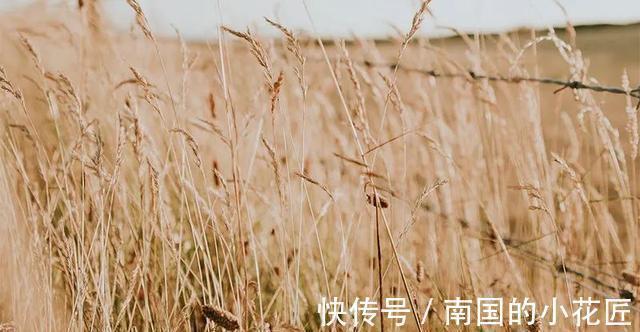 立秋|秋天排毒就靠它了,帮你润肠通便,气色也会越来越好