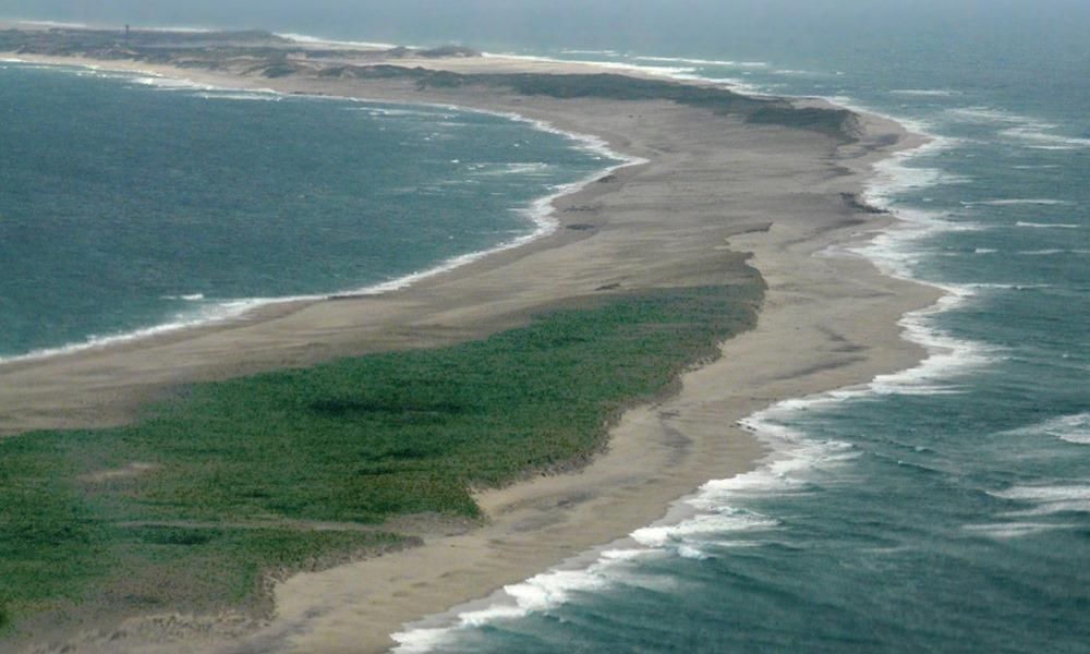 世界上最奇怪的岛屿黑貂岛，被称为大西洋的墓地，岛上只有一棵树