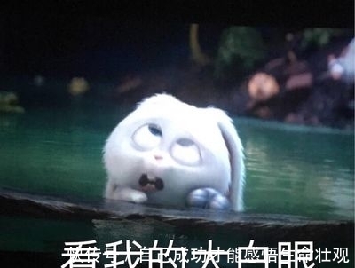 沐浴露|孕期洗发水沐浴露都用不对?难怪头秃皮肤差!选对用几年都不想换