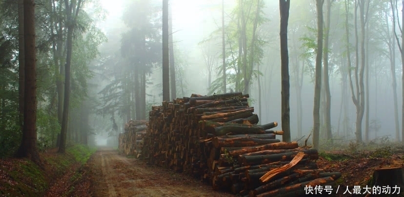 乡村|美图欣赏之中国乡村的美好图景