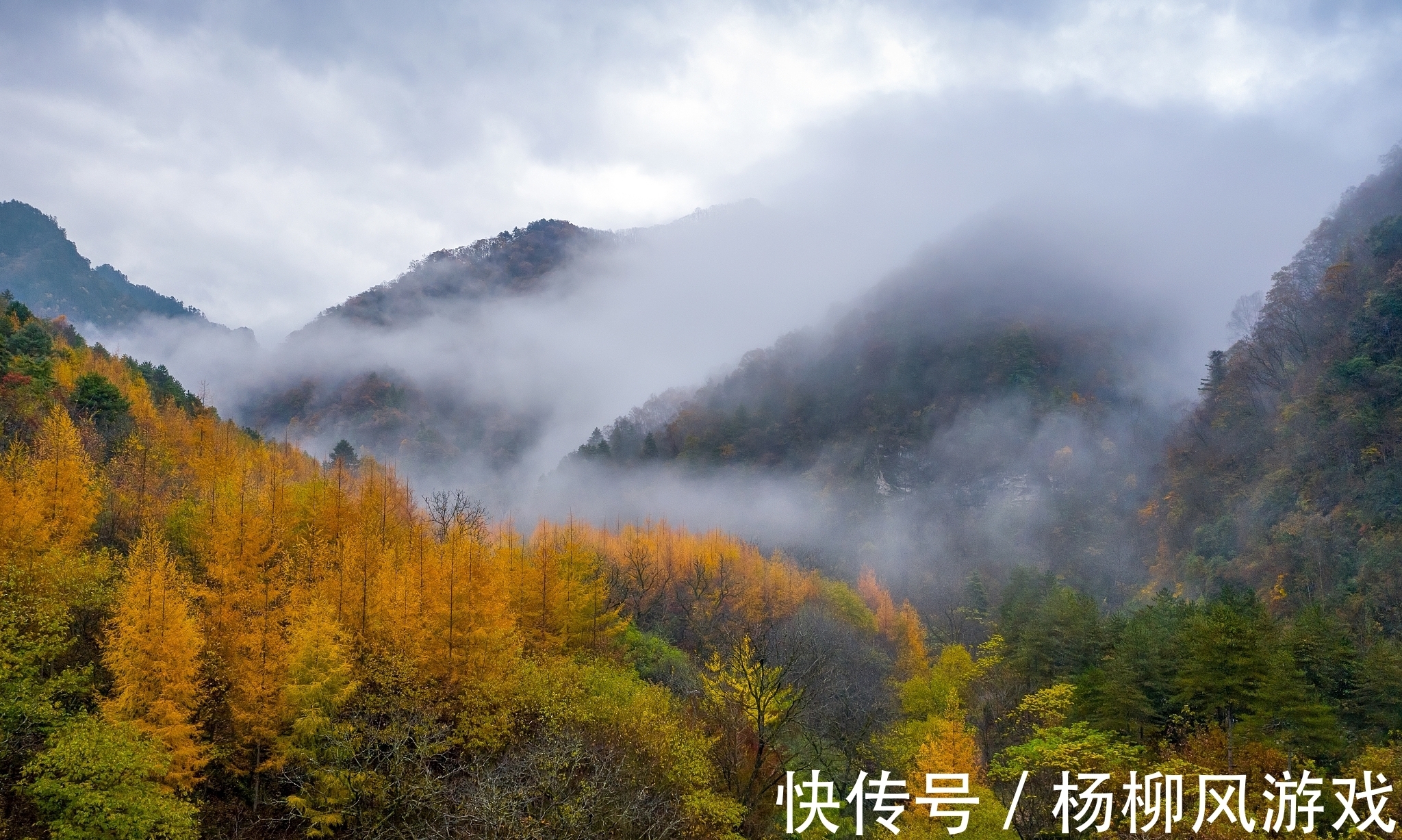 秦岭国家植物园|陕西冷知识：关于陕西这24个世界之最和中国之最，你还知道哪些？