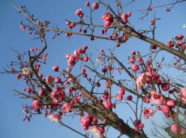 圣人#《道德经》:悟透这五个字,才发现最高明的管理者都有这种特质!