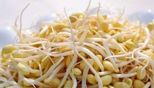 绿豆芽|绿豆芽和黄豆芽,营养上有区别吗?营养师:脂肪含量相差十几倍