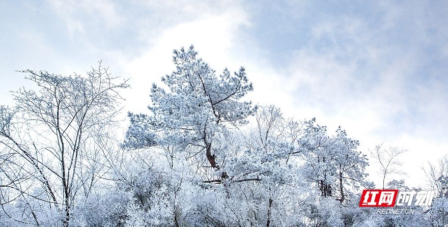 第一场雪|炎陵云上大院铁瓦仙 初春雪景如画