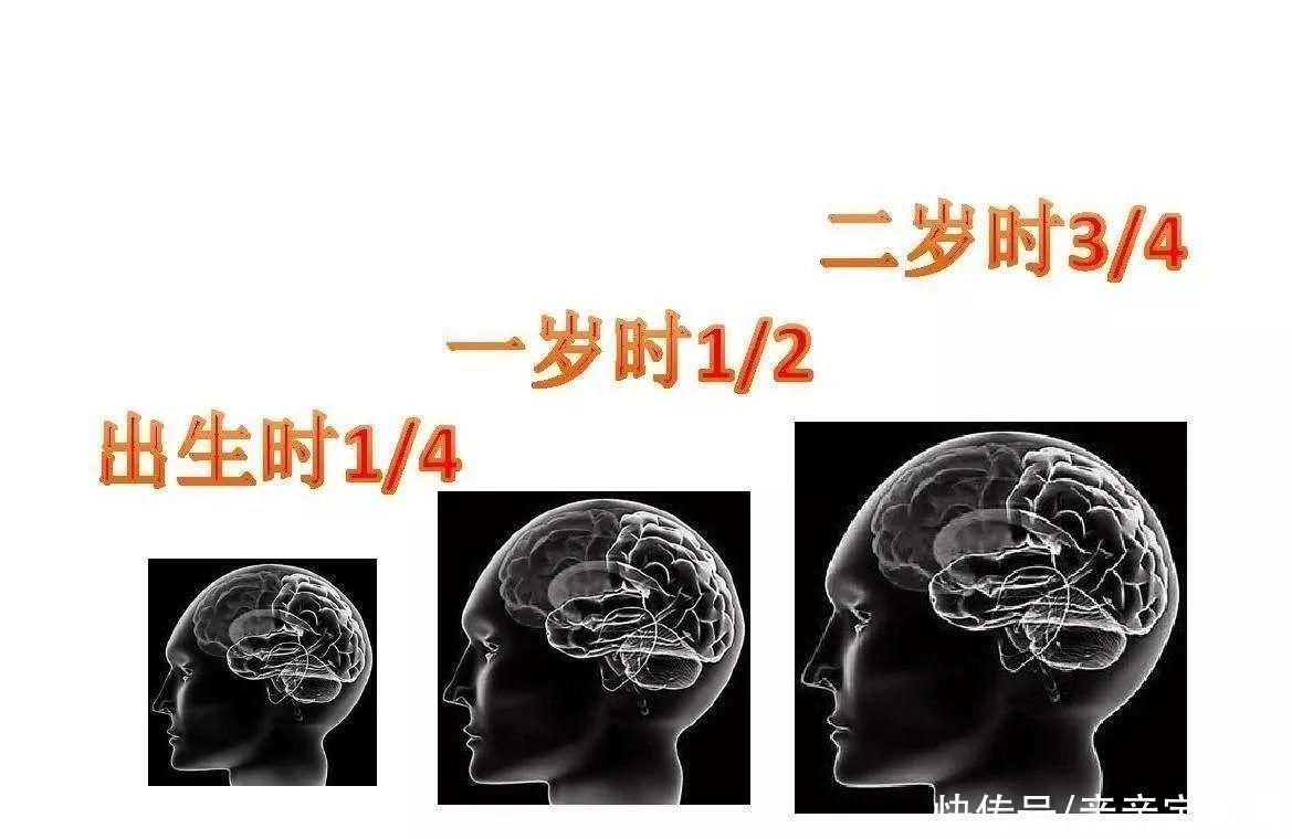 宝妈|孩子如果在婴儿时期有这6种迹象，暗示以后很聪明，父母偷偷乐吧