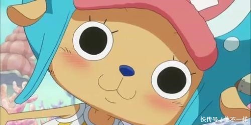 海贼王质量最好的5件衣服,路飞的撑不破,巴基都是渣渣