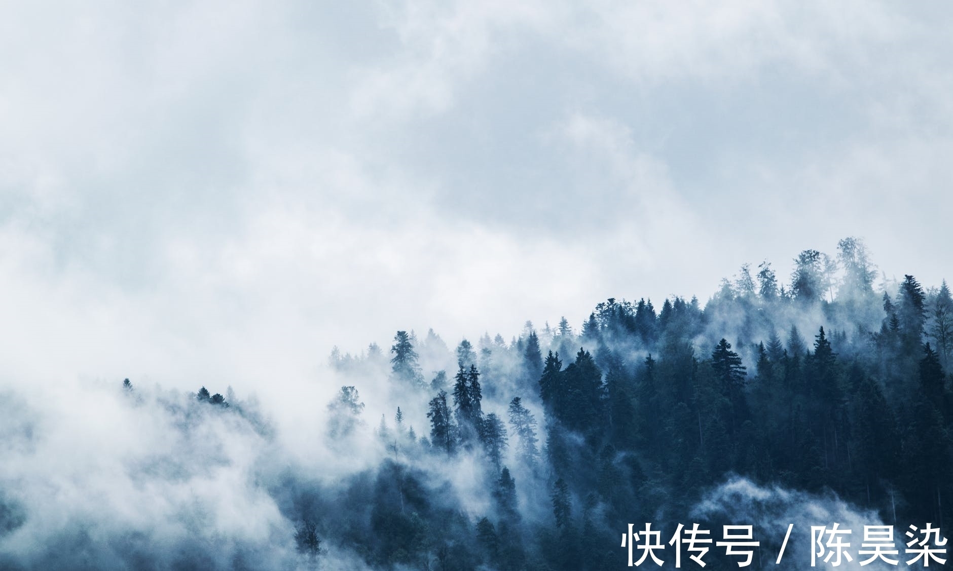 陆鸿渐$两首寻隐不遇诗:没有遇见,就是最好的遇见