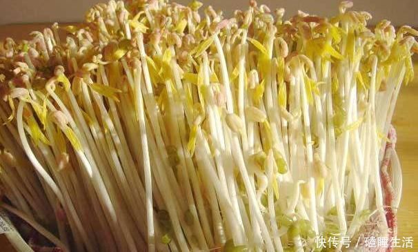 鲤鱼|湿气的“克星”被找到了,每天敞开肚子吃,助你排出体内的湿气!