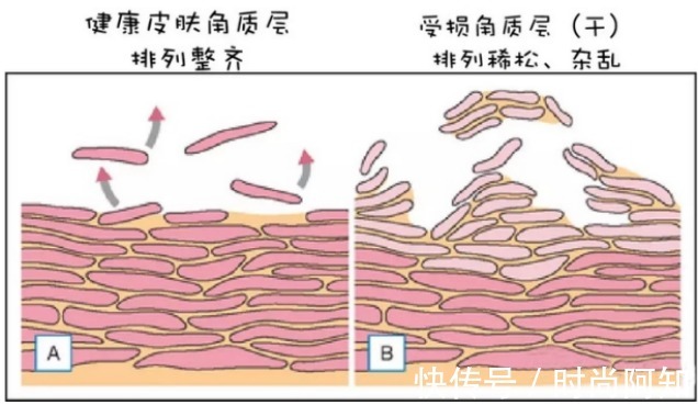 氨基酸洗面奶|皮肤科主任：这4个夏季护肤误区，好多人都做错了，你踩雷了吗？