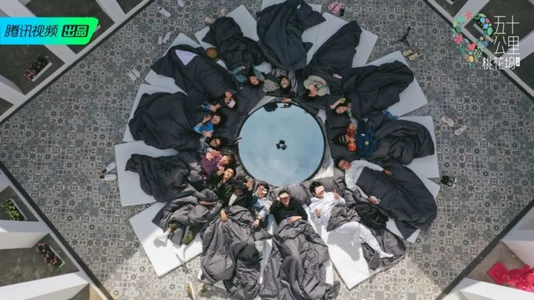 李雪琴|社会观察类综艺新思路,靠“尬”也能出圈?