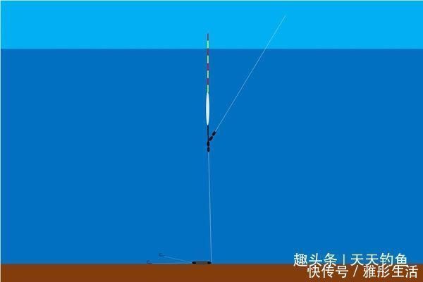 渔获|三伏天钓鱼,宜选活水做钓点,流水走漂用这些钓法,渔获更有保证