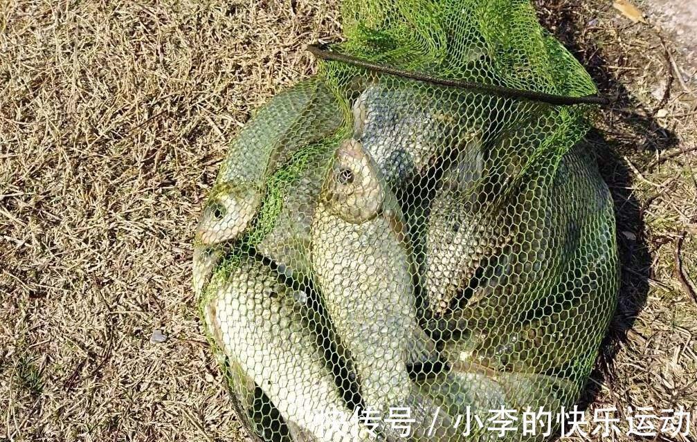 想冬钓?先搞明白,什么是六不钓