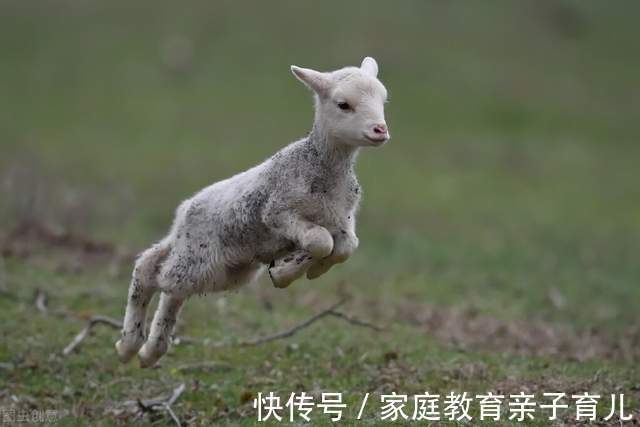 生活环境|做父母的7个认知层次,你在第几层?