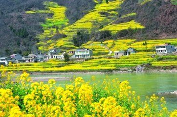 编吉说：春光无限好，为啥喷嚏停不了？！