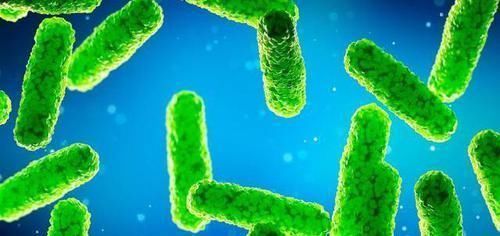 胃不好的患者,白开水加“它”,赶走幽门螺杆菌,口臭和你说拜拜