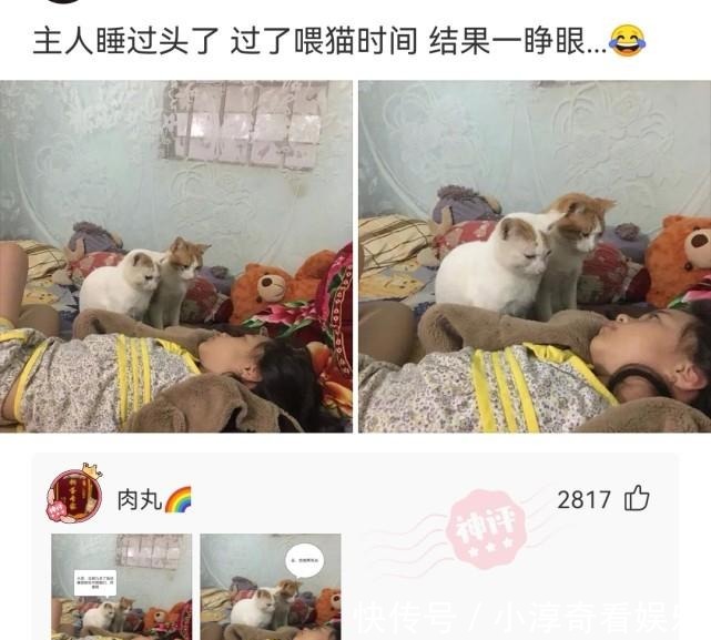 特价|神回复：四大谎言，旺铺转让，高价回收，特价处理，最后一个是？