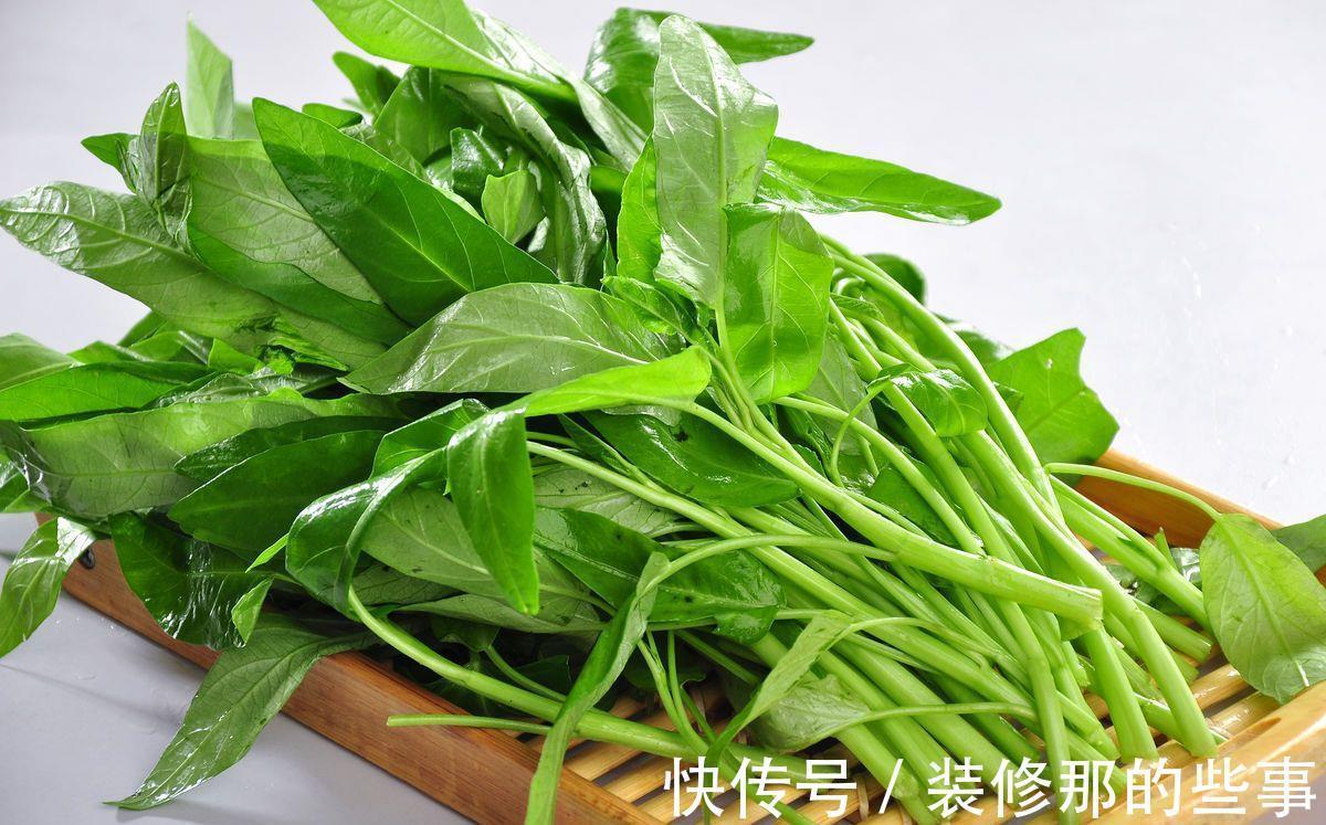 采收|夏季怎么盆栽空心菜？了解几点，长得又快又好，种一盆能吃一夏天