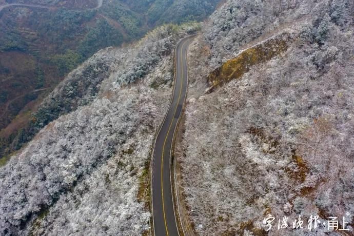 来访|初雪来访，宁波四明山这条公路迎来游客打卡！现场美成这样