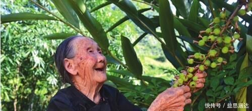 一日三餐是长寿的关键医生提醒长寿的人,晚餐一般会这样吃