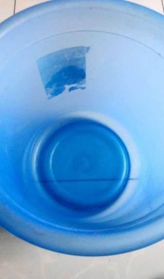 好吃|皮蛋再也不用出去买了，在家轻松制作，无铅，好吃，实惠还简单！