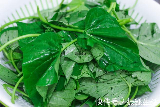 很多人冷落了这种瓜的叶子，它可是真正的长寿食材，蔬菜皇后！