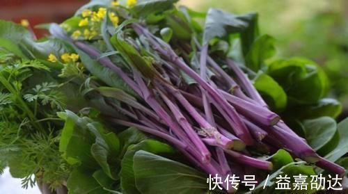 衰老|人到中年推荐常吃以下食物,健脑益智,软化血管,延缓衰老