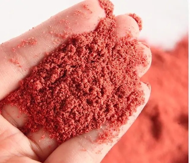 冬季钓鱼久不发窝,不妨试试这种打窝思路,鱼口马上会有变化