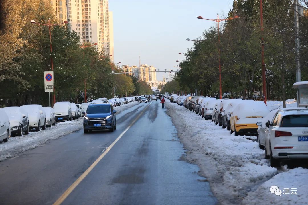 行车|天津雪景图“到货”！路面情况怎么样？高速、公交受影响吗？