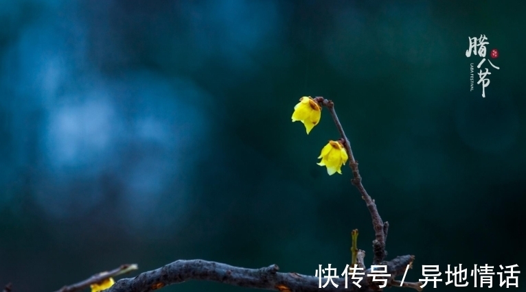 传统节日#诗词鉴赏-腊八|十二首有关腊八的古诗词,带给你不一样的腊八节