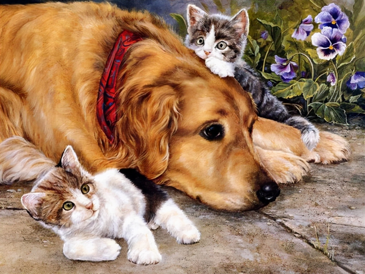 LUCIE@艺术家 LUCIE BILODEAU 画笔下的猫咪系列油画精致的实在太可爱了