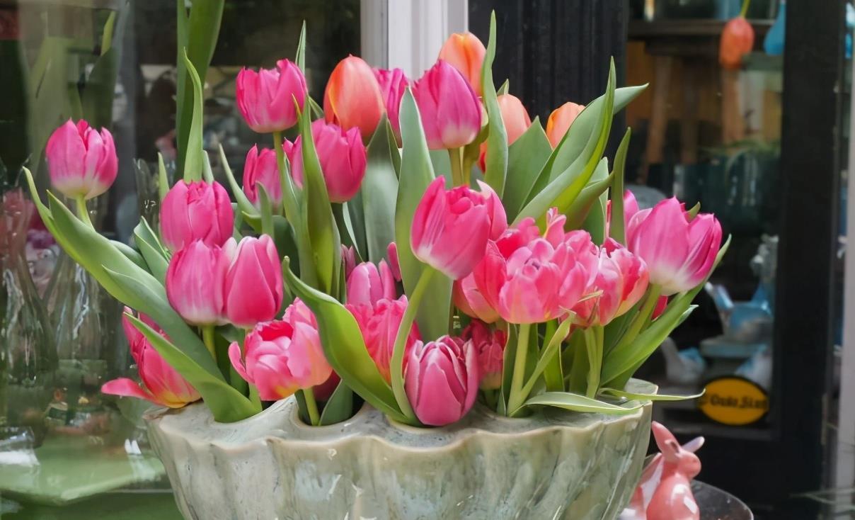 家有“3样废物”养花不用买肥料,知道为什么、该怎么用吗?