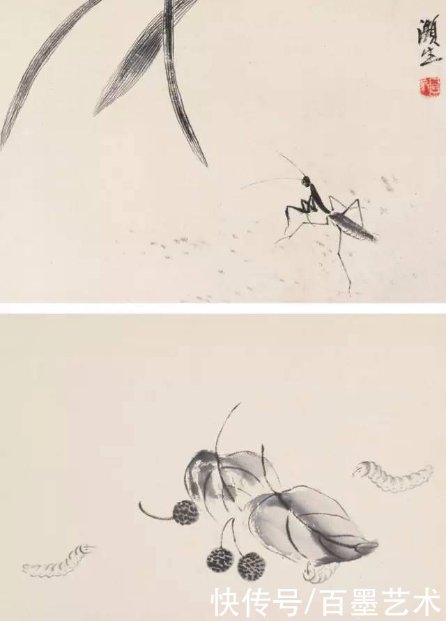 蝴蝶|齐白石草虫图200张,他把草虫画活了