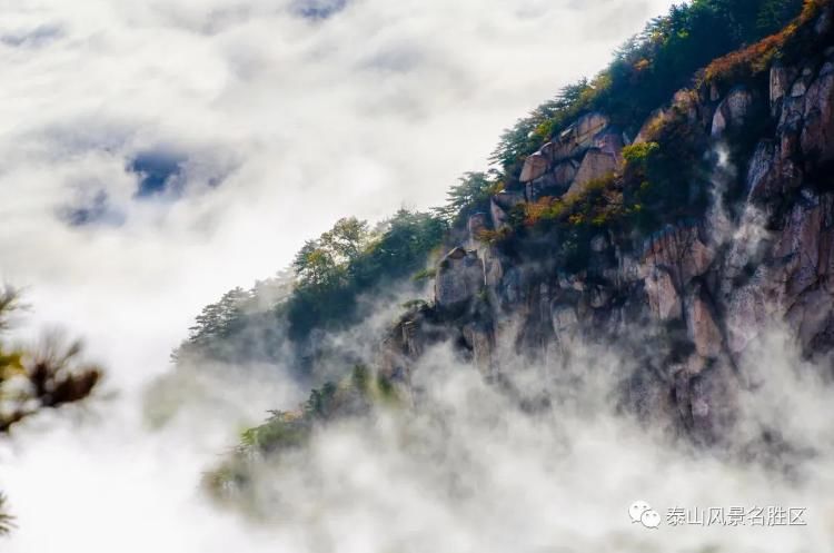 摄影|来泰山的理由，你中了几个？