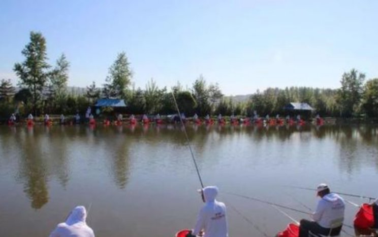 黑坑鱼突然停口怎么回事？老钓手教你妙招轻松解决