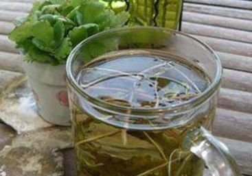蒲公英根|蒲公英的“根”能泡水喝吗?你真的知道吗?赶紧来看看吧
