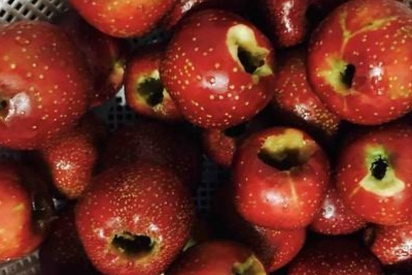 排毒|女人子宫垃圾太多多吃这些排毒食物，延缓衰老，越吃子宫越干净