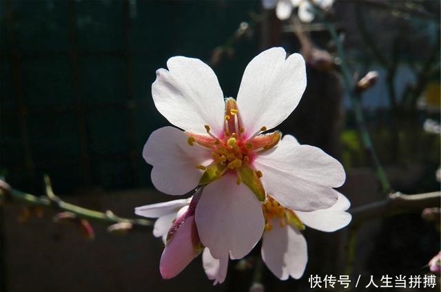这几首写失眠的诗词，每一首都成就了一个不朽的失眠