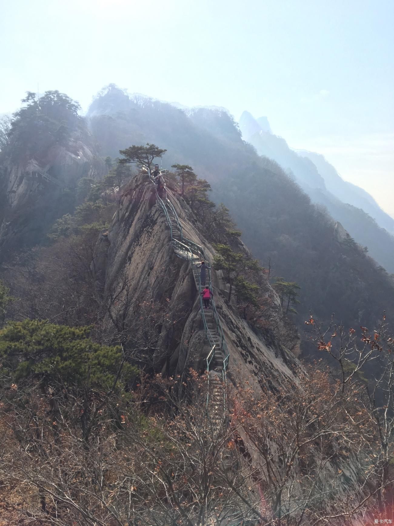 一日游|临时决定的旅行，凤凰山初冬一日游