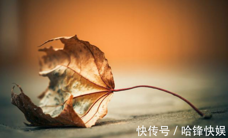 开篇#杜甫1500首诗中别具一格之作,开篇就令人叫绝,势如破竹大起大落