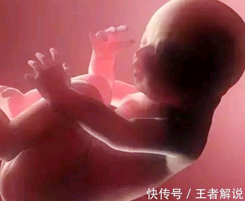胎儿|一到晚上就频繁胎动并非都是因为淘气，可能是宝宝在传递讯息