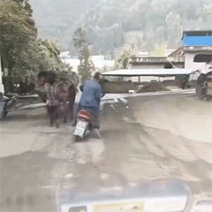 |搞笑车祸Gif:大难临头各自飞!这车头不讲义气啊