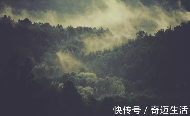 陆凯#诗词丨史上最美的8首短诗,首首经典,谁读了都会心醉