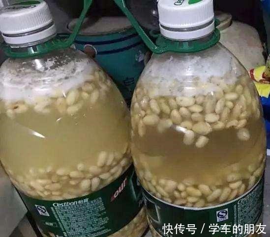 用2个方法,将黄豆处理一下,就是“花卉氮肥”,养啥都旺!