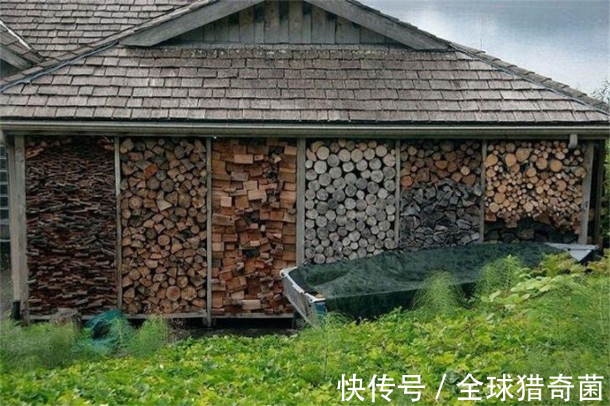 摄影|35张“活久见”的完美图片,强迫症瞬间被治愈了